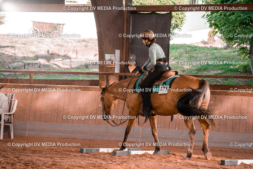 NE300065 | dv-media-shop - Realisiert mit Pictrs.com