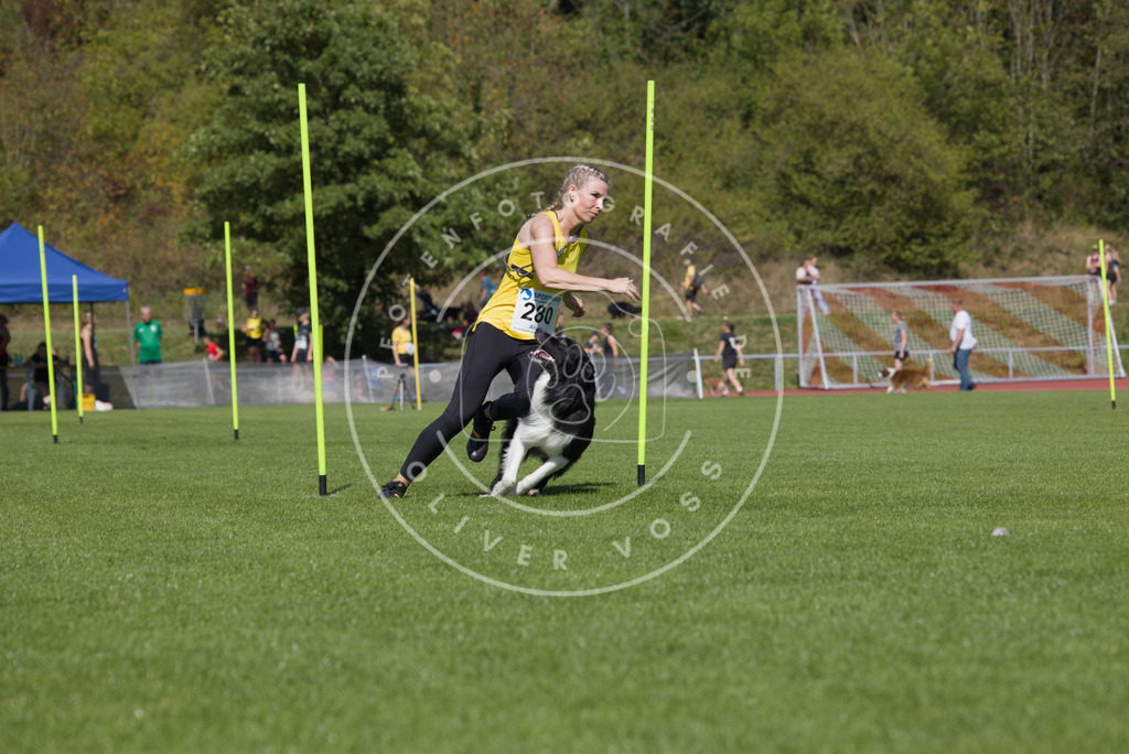0L8A6815 | Hundefotografie, Tierfotograf, Pfotenfotografie, Fotoshooting Hund, Hunde Portrait, Hundesport, Hundeportraits, Heideshooting, Hunde, Sportfotograf, Hundefotograf, Turnierhundsport, THS,  - Realisiert mit Pictrs.com