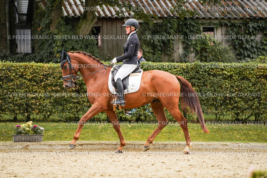 DSC08327 | Pferdegrafie