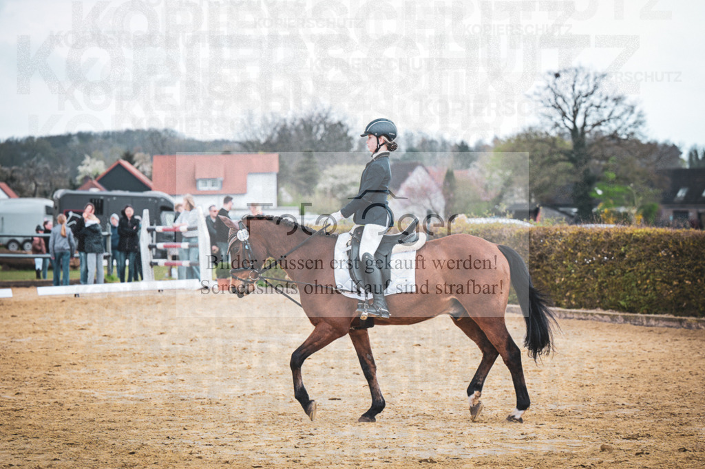 DOS_7663 | Entdecke hochwertige Reitturnierfotos von Foto Oger. Professionell, emotional und authentisch – jetzt Lieblingsmomente im Shop bestellen.Deutschlandweite Turnierfotografie. - Realisiert mit Pictrs.com