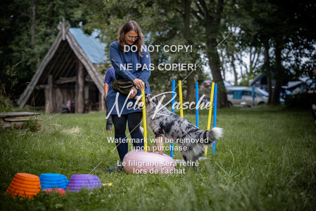 nelerasche_SoEarlyDog_64 | nelerasche