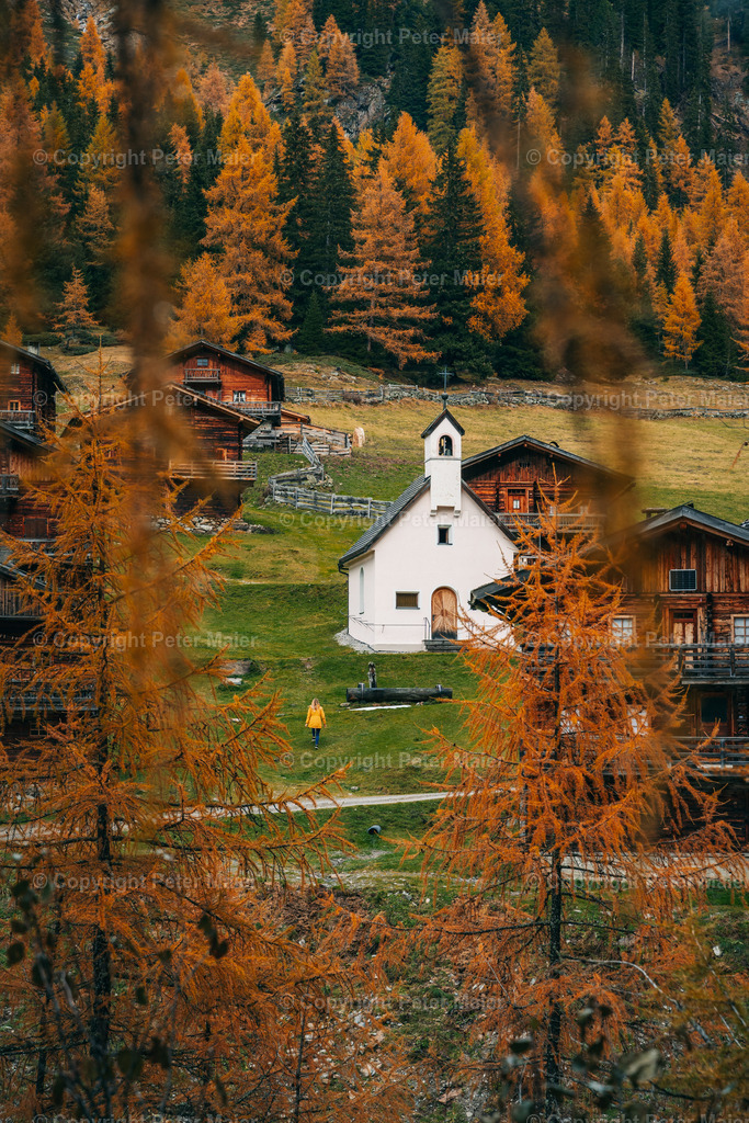 Oberstalleralm_Herbst_2020-79 | piet_flosse
