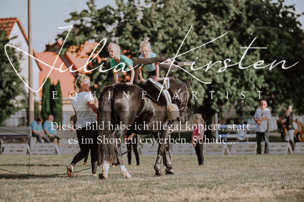 DSC_9926 | Pferde- und Turnierfotografie in Westsachsen. Pferdeportraits, Auftragszeichnungen und intuitive Kunst.