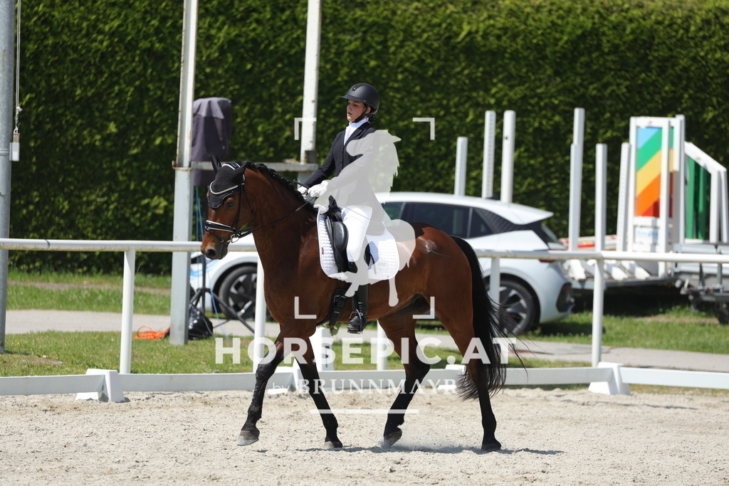 0P6A1193 | Willkommen bei Brunnmayr - Design & Fotografie – Ihrem Spezialisten für Reitturniere und Pferdeveranstaltungen in Oberösterreich, Salzburg und Bayern! Seit über 17 Jahren sind wir leidenschaftlich dabei.