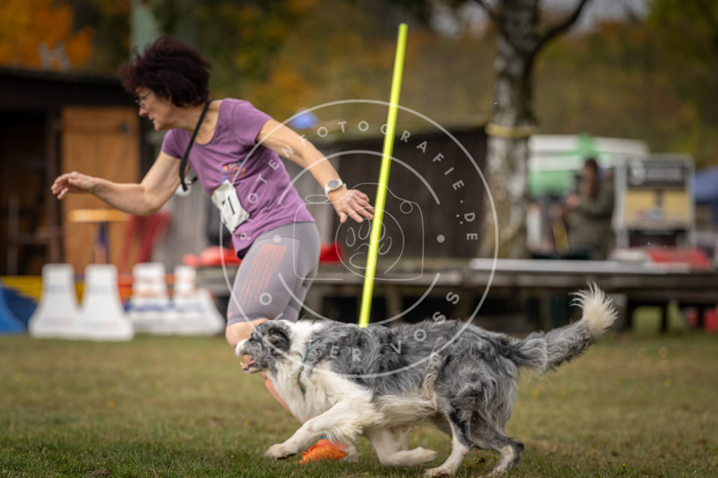 Pfotenfotografie_DV3A5624 | Hundefotografie, Tierfotograf, Pfotenfotografie, Fotoshooting Hund, Hunde Portrait, Hundesport, Hundeportraits, Heideshooting, Hunde, Sportfotograf, Hundefotograf, Turnierhundsport, THS,  - Realisiert mit Pictrs.com