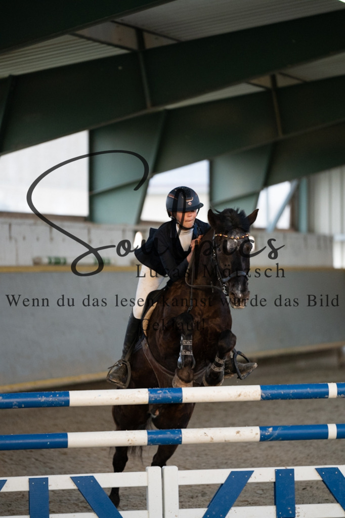 A7V07632 | Pferdefotograf