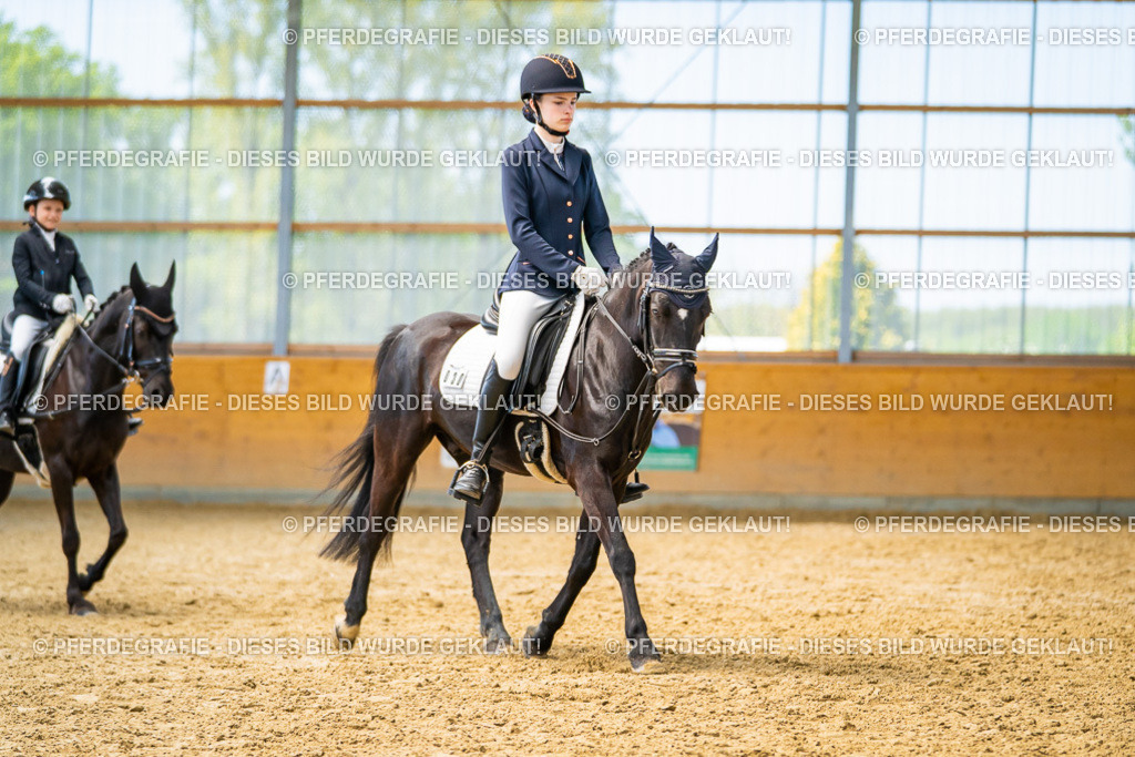 DSC08930 | Pferdegrafie