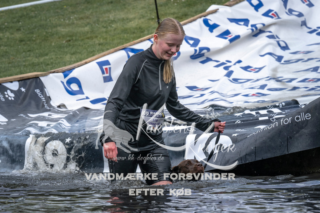 1143_ZZ93580 | kk-dogfotos