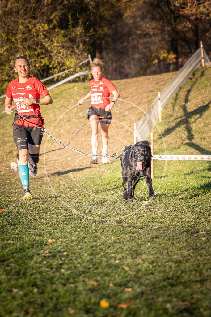 CaniXpix_0L8A0824 | Hundefotografie, Tierfotograf, Pfotenfotografie, Fotoshooting Hund, Hunde Portrait, Hundesport, Hundeportraits, Heideshooting, Hunde, Sportfotograf, Hundefotograf, Turnierhundsport, THS,  - Realisiert mit Pictrs.com