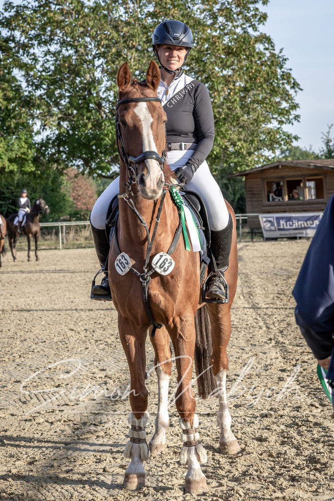 20250907-_3LI4923 | Tierfotografie Pferde, Hunde, Katzen, Haustiere.
Turnierfotografie Reitturniere, Reiten, Springreiten, Dressur in Hanau, dem Main-Kinzig-Kreis und dem Rhein-Main- Gebiet um Frankfurt
