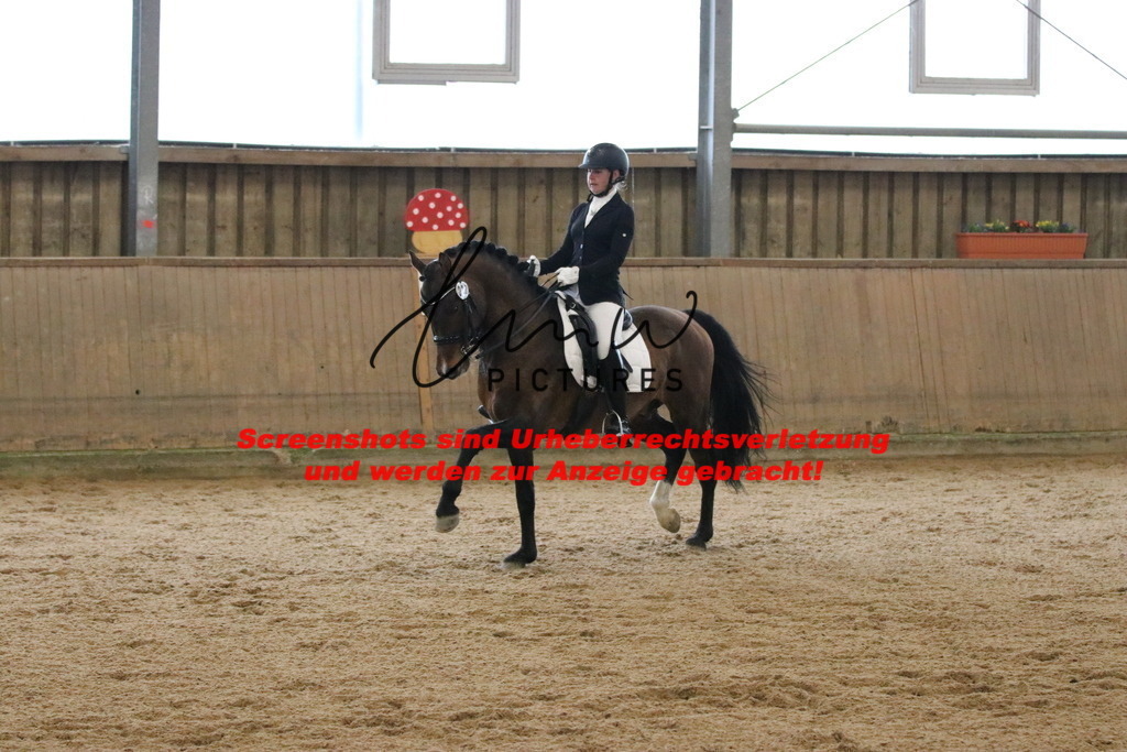 IMG_9006 | lmwpictures - Realisiert mit Pictrs.com