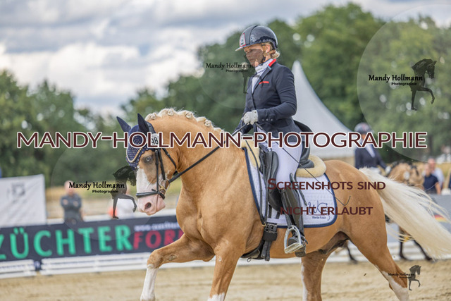 RPF 4j H (68 von 1519) | mandyhollmannphotographie