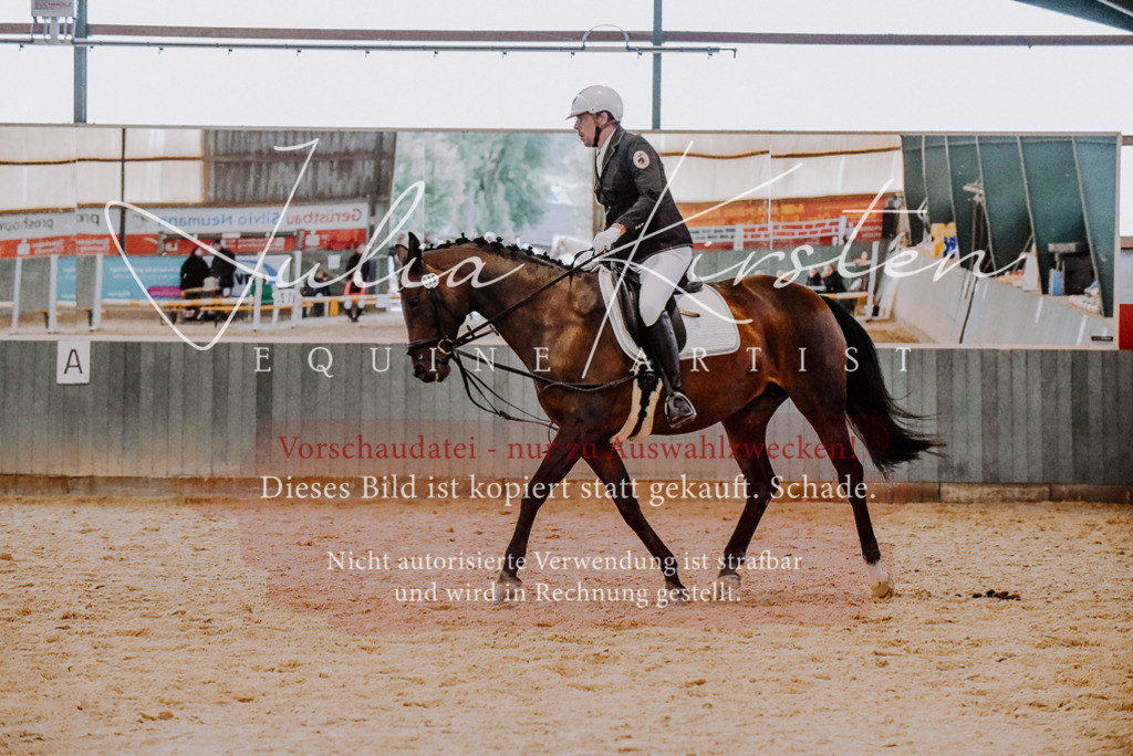 DSC_7706 | Pferde- und Turnierfotografie in Westsachsen. Pferdeportraits, Auftragszeichnungen und intuitive Kunst.