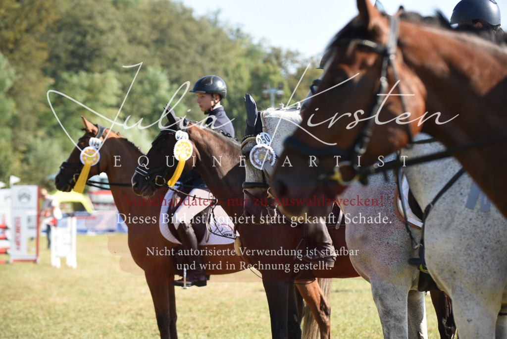 DSC_5450 | Pferde- und Turnierfotografie in Westsachsen. Pferdeportraits, Auftragszeichnungen und intuitive Kunst.