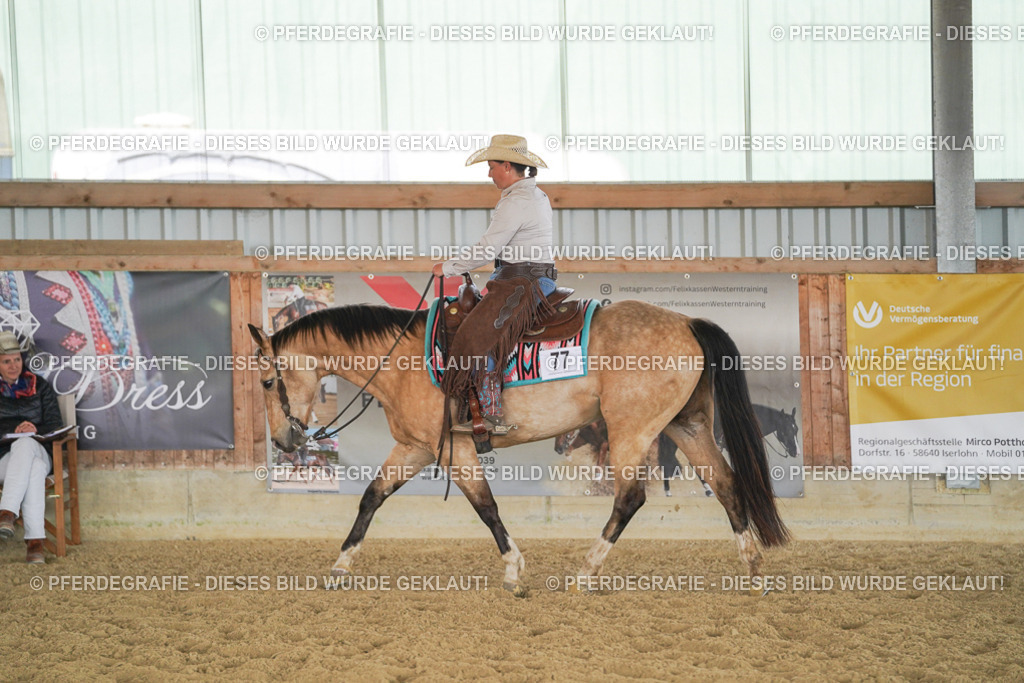 DSC01796 | Pferdegrafie