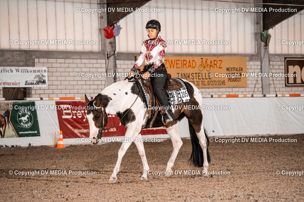 ZH100072 | dv-media-shop - Realisiert mit Pictrs.com