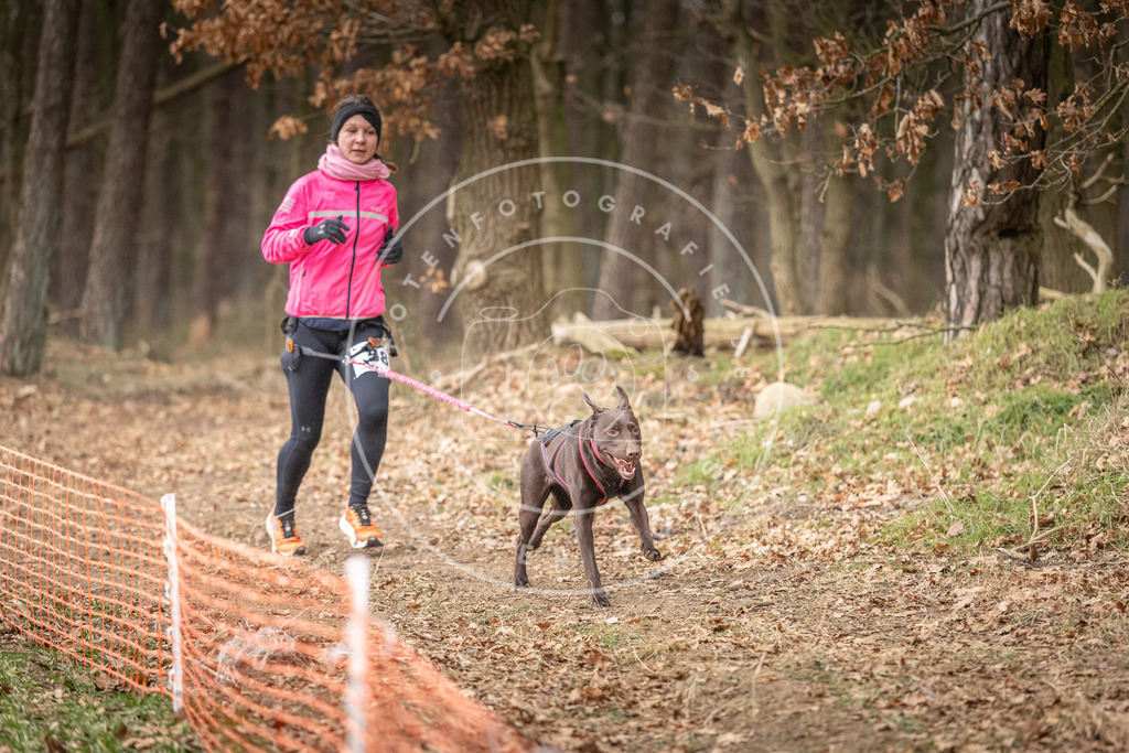 Pfotenfotografie_DV3A2039 | Hundefotografie, Tierfotograf, Pfotenfotografie, Fotoshooting Hund, Hunde Portrait, Hundesport, Hundeportraits, Heideshooting, Hunde, Sportfotograf, Hundefotograf, Turnierhundsport, THS,  - Realisiert mit Pictrs.com