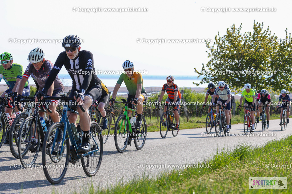 IMG_1729 | @sportshot_your_pictrs #yourpictures#roadtowm2029 #nrm #neusiedlerseeradmarathon #neusiedlersee #neusiedlerseetourismus #burgenland #mörbisch #nrm26 #burgenlandtourismus #voglundco #poweredbyburgenlandtourismus #radsport #rad #marathon #ucigranfondo #visitburgenland #ucigranfondoworldseries