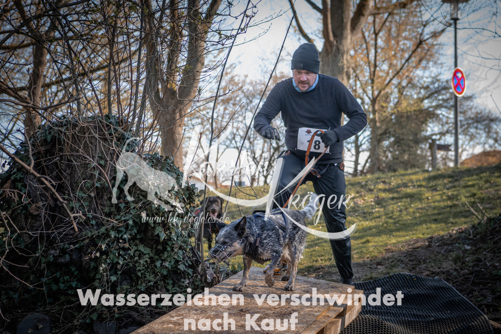 0818_ZZ90541 | kk-dogfotos
