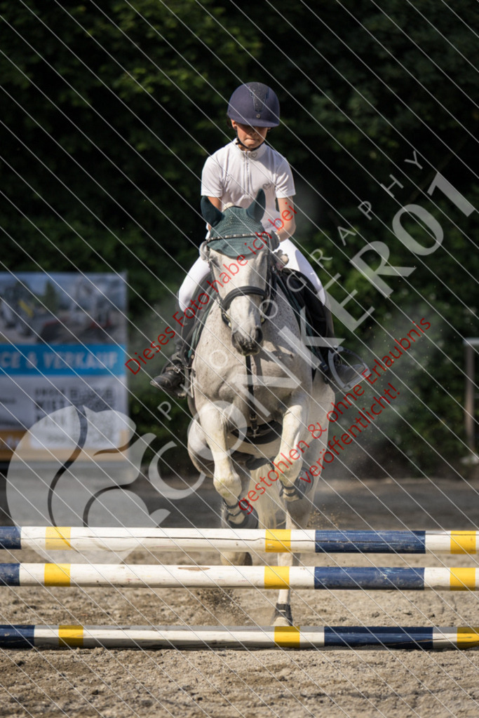 IMG_5996 | Sport-, Event- und Tierfotos in Profiqualität. Einfach auswählen, bestellen und herunterladen. Dein Moment – perfekt festgehalten.