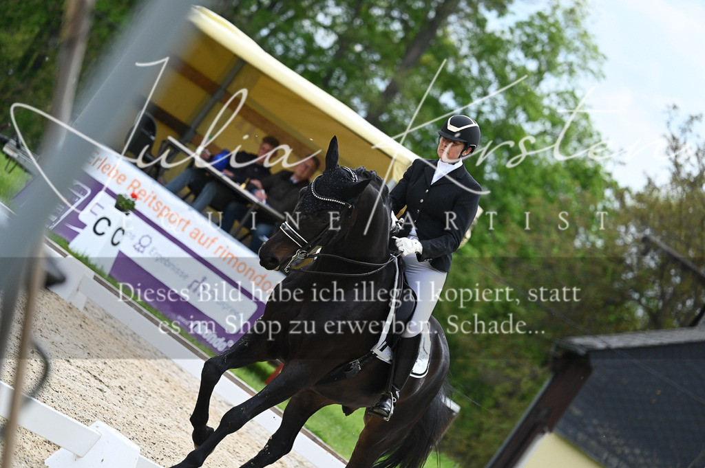 20230512_JK-Röhrsdorf-05-109 | Pferde- und Turnierfotografie in Westsachsen. Pferdeportraits, Auftragszeichnungen und intuitive Kunst.