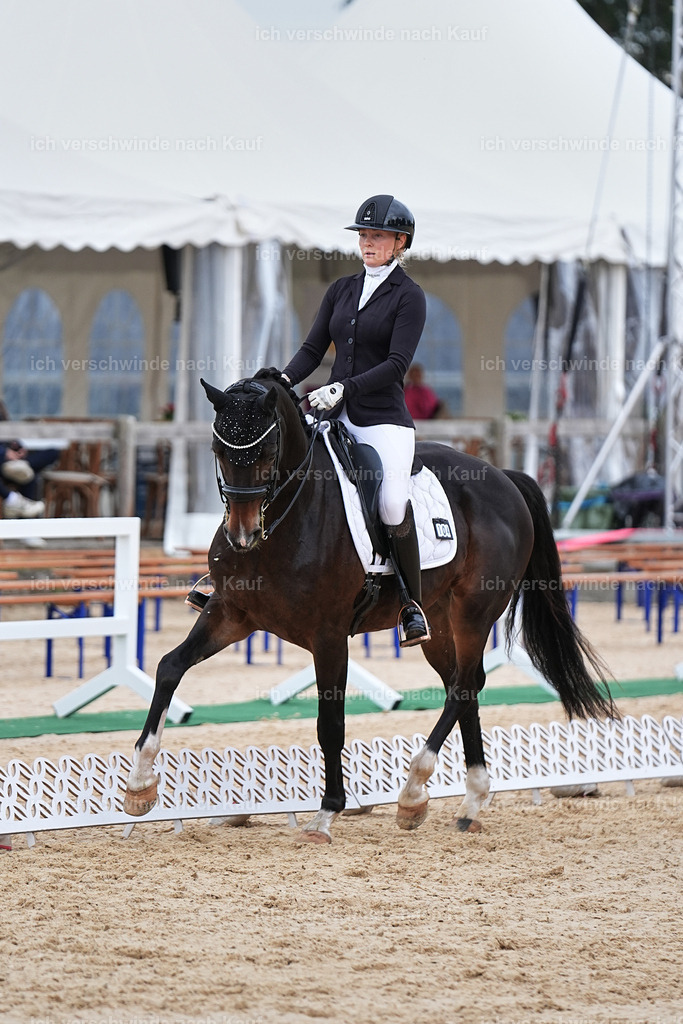 3-104-Dressur M_-Marixx-1966 | working equitationturnier fotograf videograf stoibphotography marixx film working equitation deutschland reitsport turnierfotografie eventfotografie equestrian events
