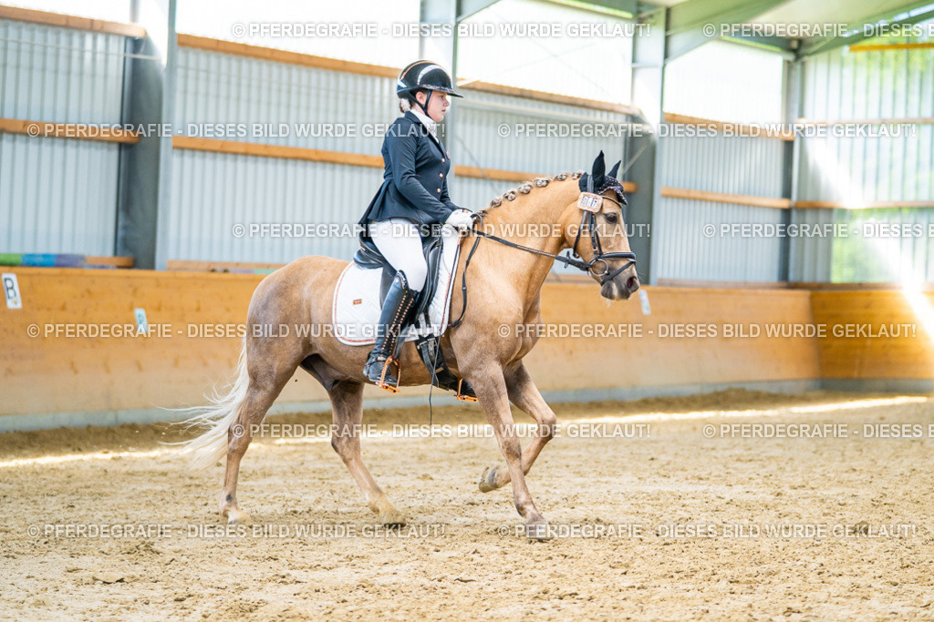 DSC07656 | Pferdegrafie