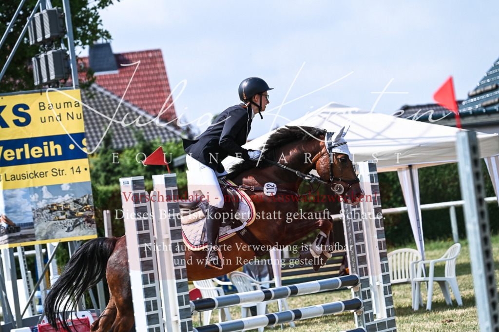 DSC_8664 | Pferde- und Turnierfotografie in Westsachsen. Pferdeportraits, Auftragszeichnungen und intuitive Kunst.