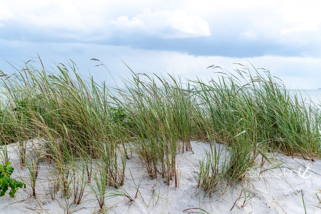 20240605-EAF_1546 | Eilun-Art-Fotografie Levke Martens, ihre Fotografin für Immobilien- und Landschaftsfotografie auf Föhr, Föhrer Motive als Poster, Leinwand, hinter Acrylglas oder stelle dir deinen eigenen Monatskalender zusammen, mit nur einem Klick
