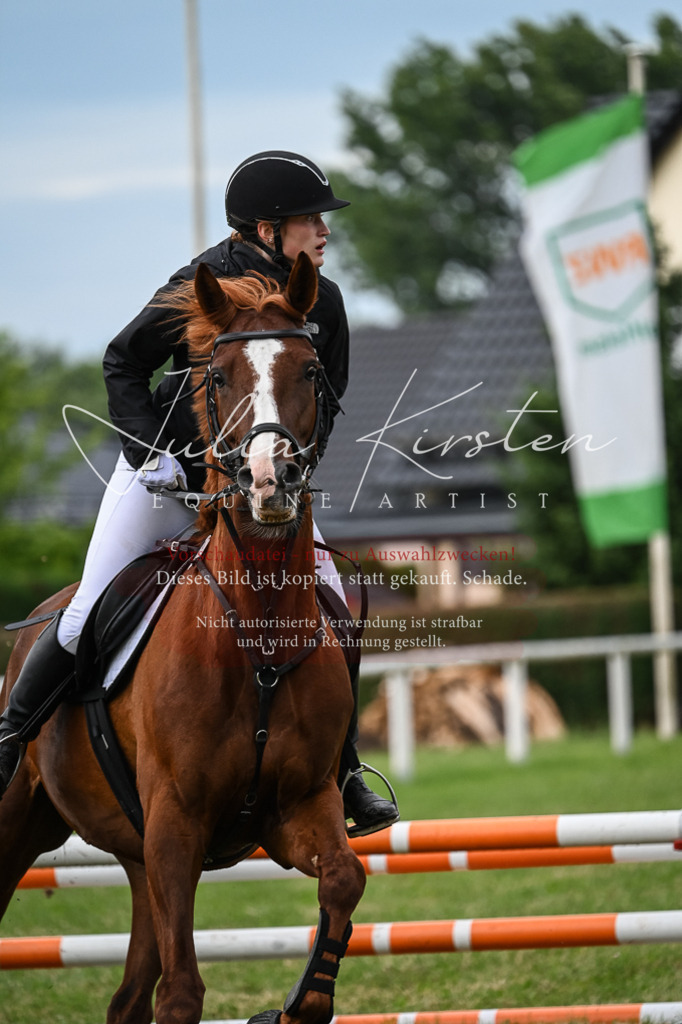 DSC_8374 | Pferde- und Turnierfotografie in Westsachsen. Pferdeportraits, Auftragszeichnungen und intuitive Kunst.