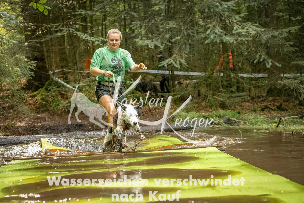 1412_ZZ91465-Bearbeitet | kk-dogfotos