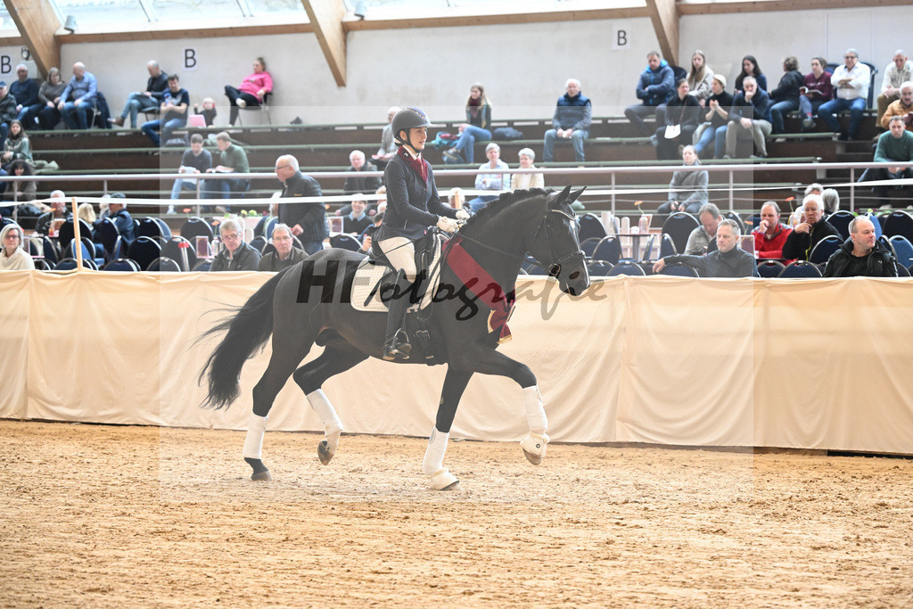 Boccacio_HLG Neustadt_2251397 | hf-fotografie - Realisiert mit Pictrs.com