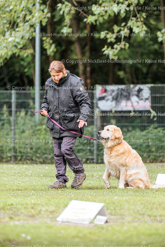 RO-Blumenthal-2026-Nickbest-Hundefotografie-1046 | Dein Hund! Dein Moment! Deine Erinnerungen! Hundefotografie in Bremen Blumenthal. Ich fange die besonderen Momente deines Vierbeiners ein – ob Indoor mit Blitzanlage oder in der freien Natur. Sicher dir dein Moment und dein Termin für eure Erinnerungen.