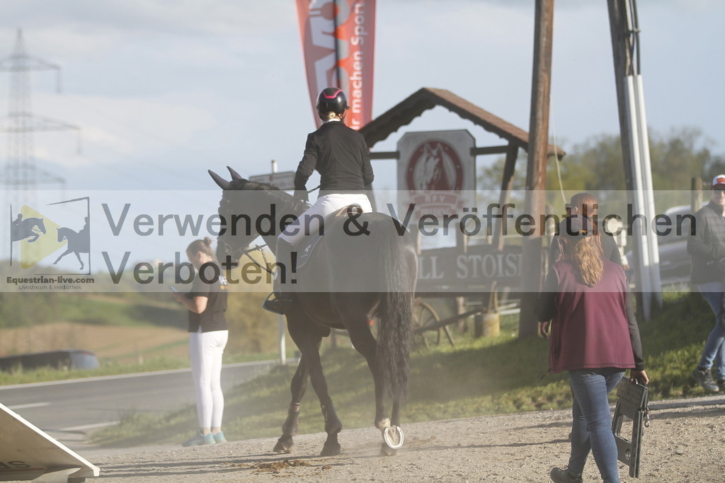 _MG_8238 | equestrian-live-com