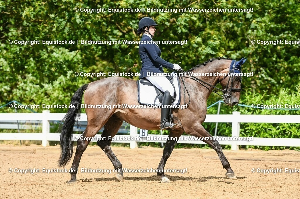20230716_01_Dressurprüfung Kl.M_0307 | equistock