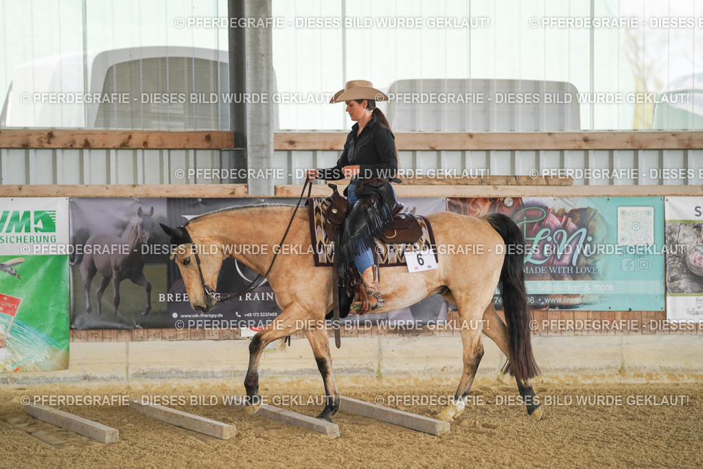 DSC02486 | Pferdegrafie