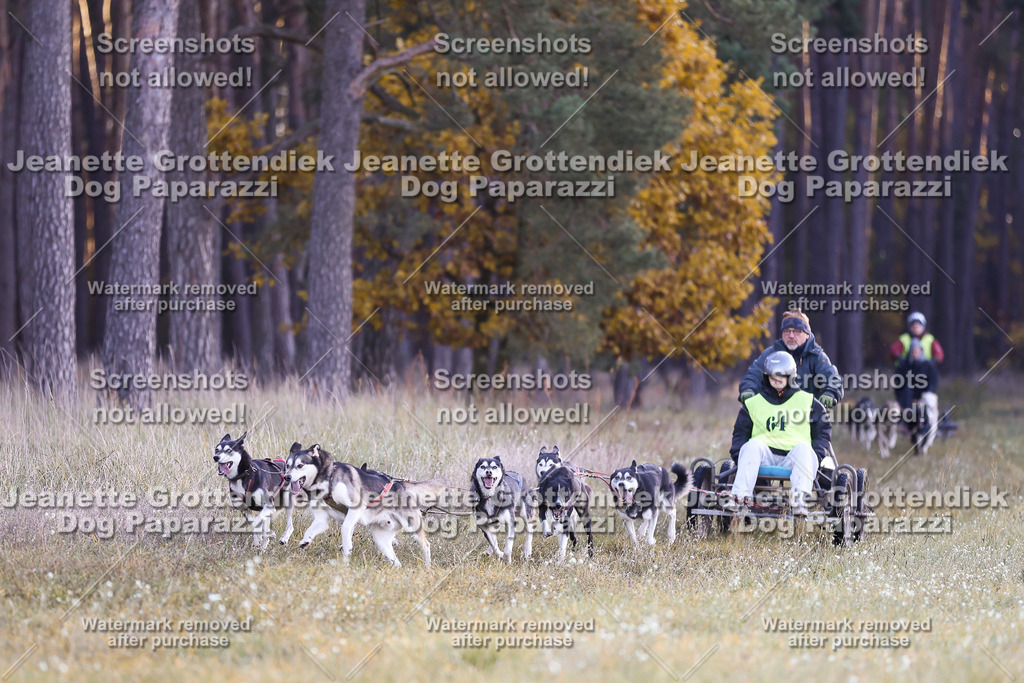 Dog Paparazzi - Elsholz 25 -1 | Dog Paparazzi Jeanette Grottendiek Fotografie & Videografie - Realisiert mit Pictrs.com