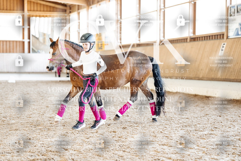 CK907127 | Turnierfotografie Pferdefotografie Trier Rheinland-Pfalz Pferdesport Reitsport Tierfotografie Sportfotografie Pferdevideo Pferdevideografie Equestrianvideography equestrianphotography  - Realisiert mit Pictrs.com
