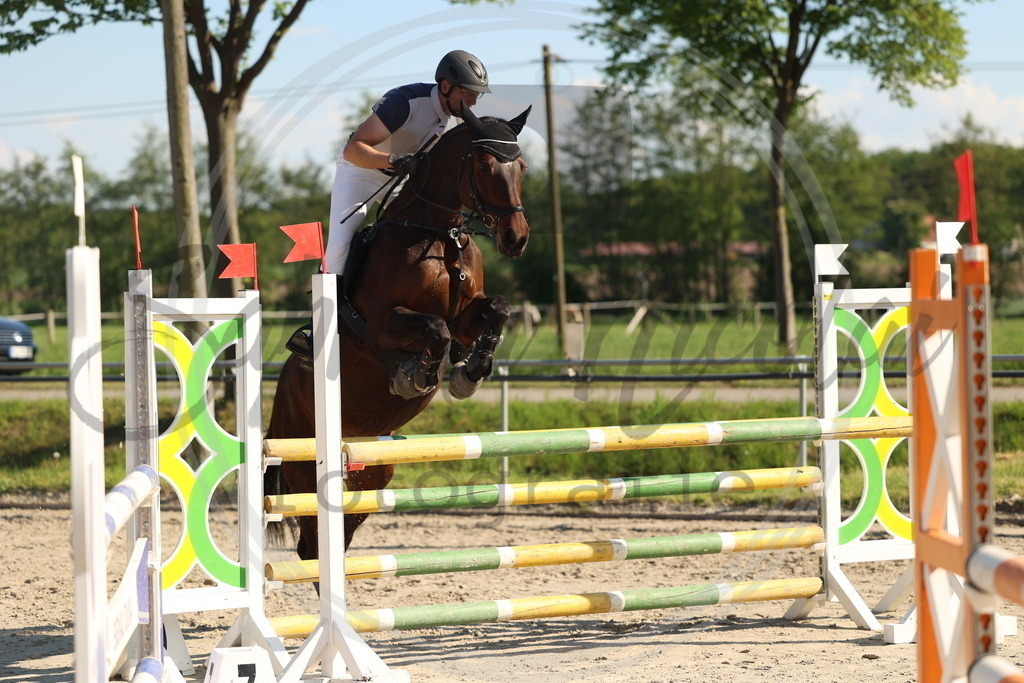 994A6186 | sabrinanicolaifotografie - Realisiert mit Pictrs.com