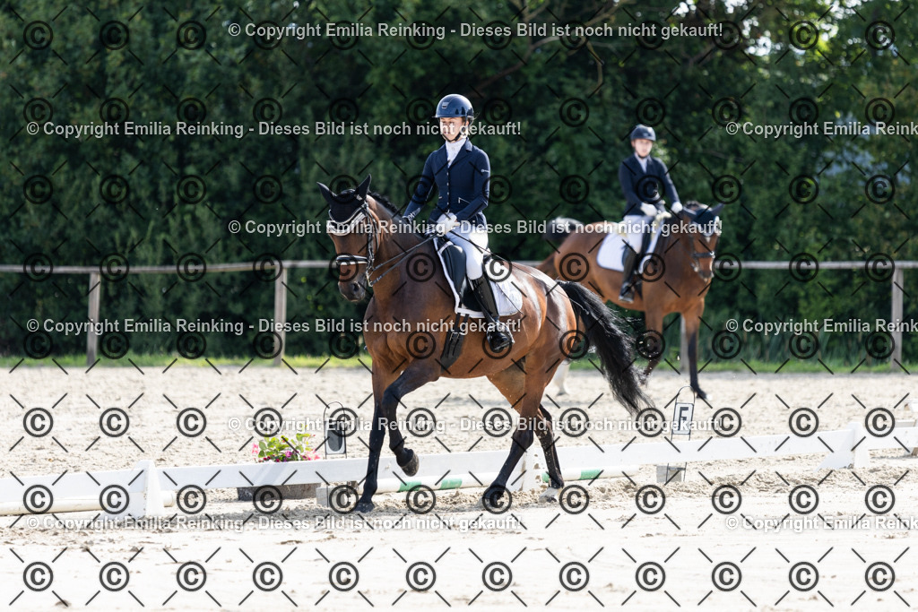 CL5A5549 | Emilia Reinking Fotografie - Realisiert mit Pictrs.com