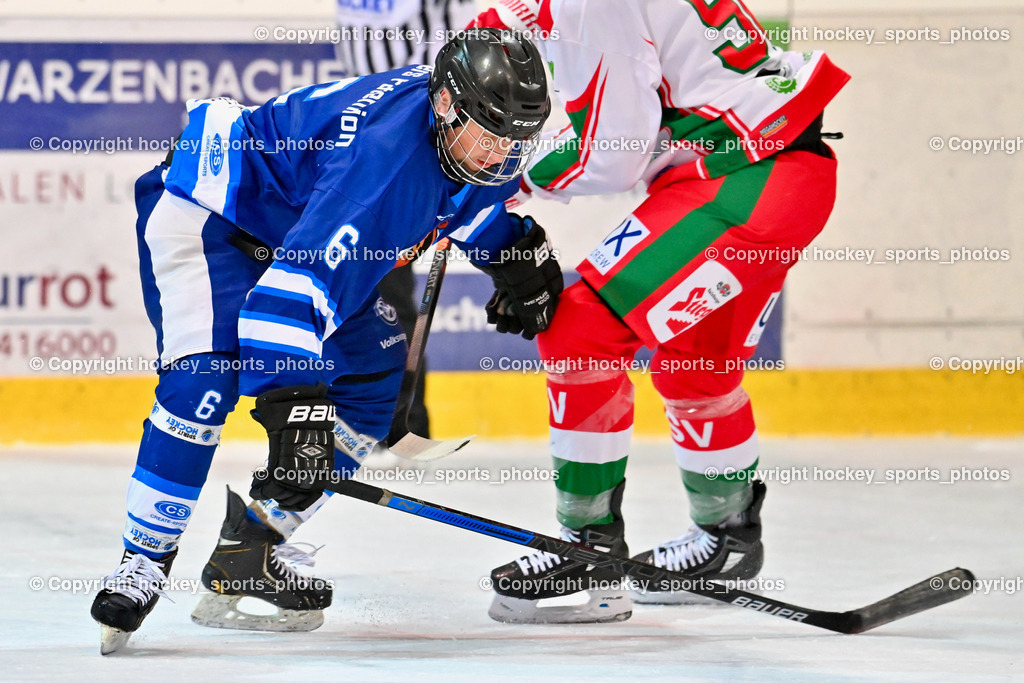 BST_9430 | hockey sports photos, Pressefotos, Sportfotos, hockey247, win 2day icehockeyleague, Handball Austria, Floorball Austria, ÖVV, Kärntner Eishockeyverband, KEHV, KFV, Kärntner Fussballverband, Österreichischer Volleyballverband, Alps Hockey League, ÖFB, 