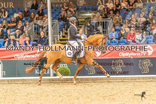28-8-26 5j DRE-1101 | mandyhollmannphotographie