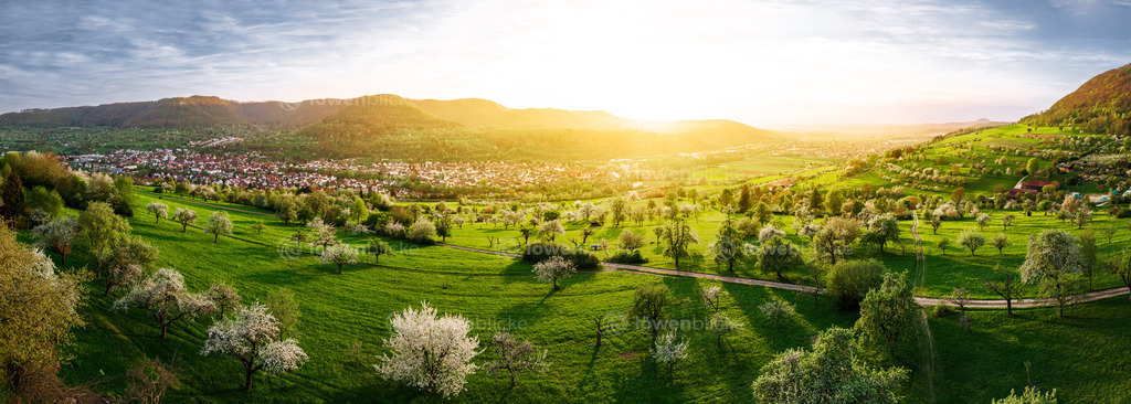 Streuobstwiesen bei Kuchen | löwenblicke | shop