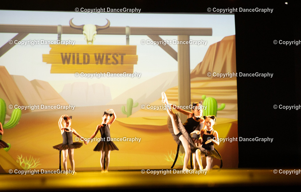 GPHY4240 | DanceGraphy - Realisiert mit Pictrs.com