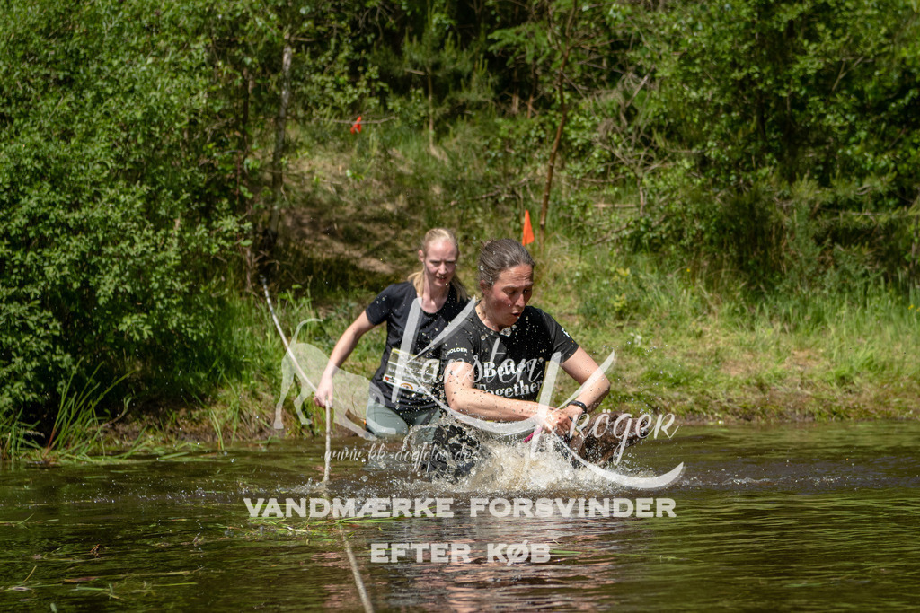 1216DKK992374 | kk-dogfotos