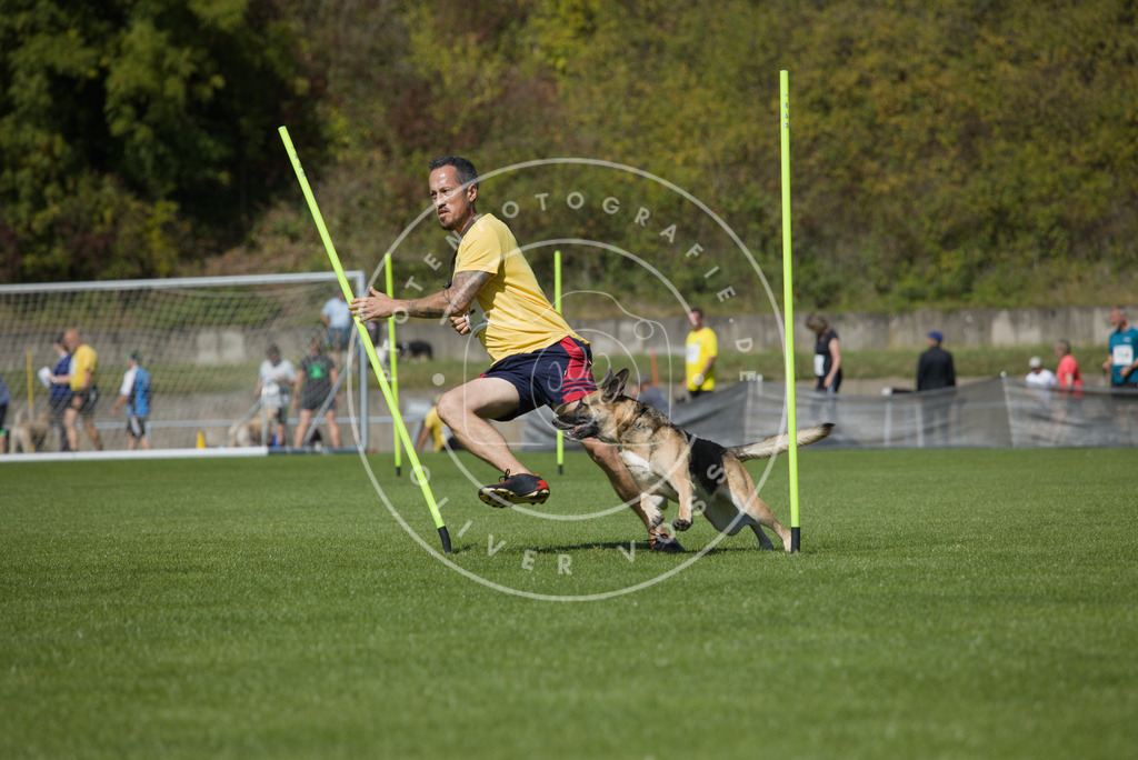 0L8A6166 | Hundefotografie, Tierfotograf, Pfotenfotografie, Fotoshooting Hund, Hunde Portrait, Hundesport, Hundeportraits, Heideshooting, Hunde, Sportfotograf, Hundefotograf, Turnierhundsport, THS,  - Realisiert mit Pictrs.com