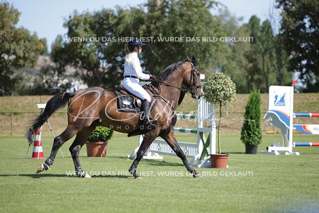 1J2A7456Anne Neumann_ Kn178_ Pokerface 40_ Sukow | Foto- und Videografie für alles rund ums Pferd. Hochwertige Bilder und Videos vom Spring- und Dressurreiten, Voltigieren & mehr. Jetzt aktuelle Veranstaltungen und Preise im Shop ansehen. - Realisiert mit Pictrs.com
