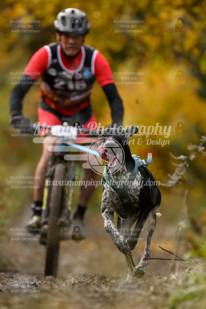 MompixPhotography_ICF_WC_2024_SA_Bike_-355 | PayLife
