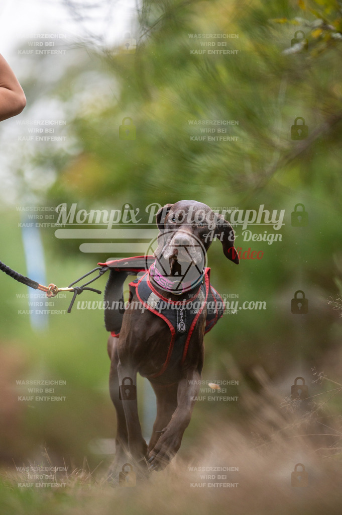 TSB_2023_E5_Enfants-17 | mompixphotography