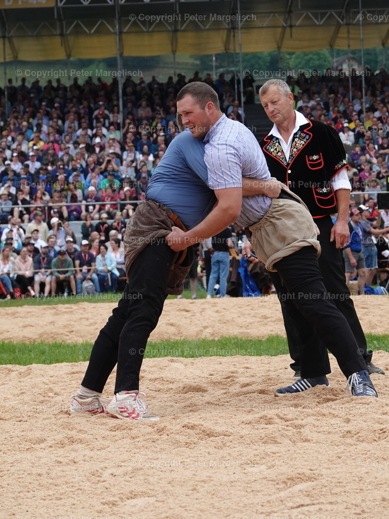 DSC04828 | Schwingen - Realisiert mit Pictrs.com